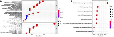 A Novel Framework to Predict Breast Cancer Prognosis Using Immune-Associated LncRNAs